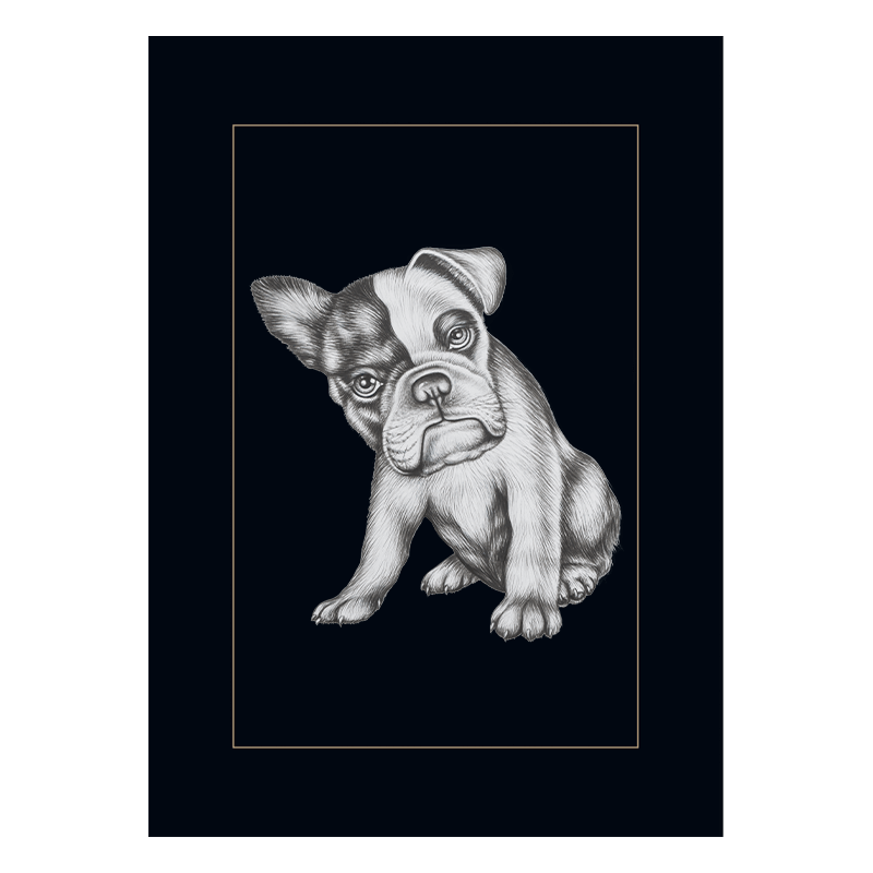 Postkarte Bulldogge