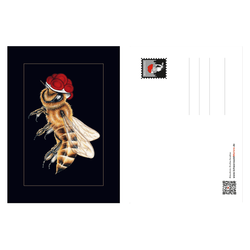 Postkarte Bollenhut Biene