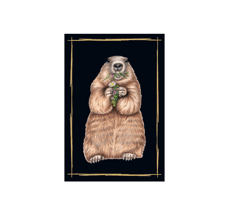 Magnet Murmeltier