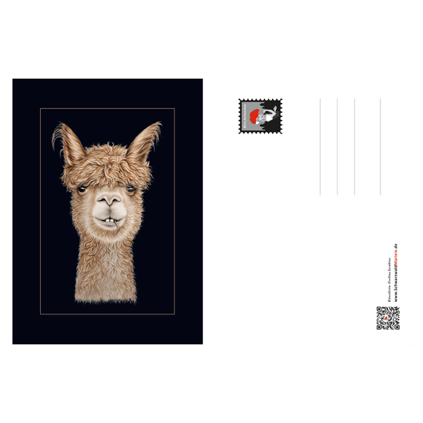 Postkarte Alpaka