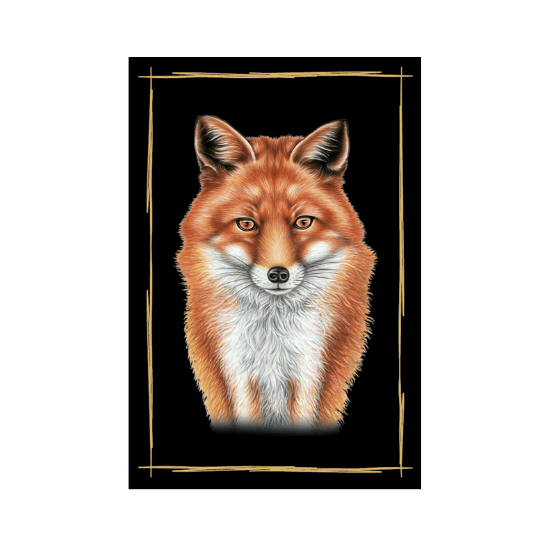 Magnet Fuchs