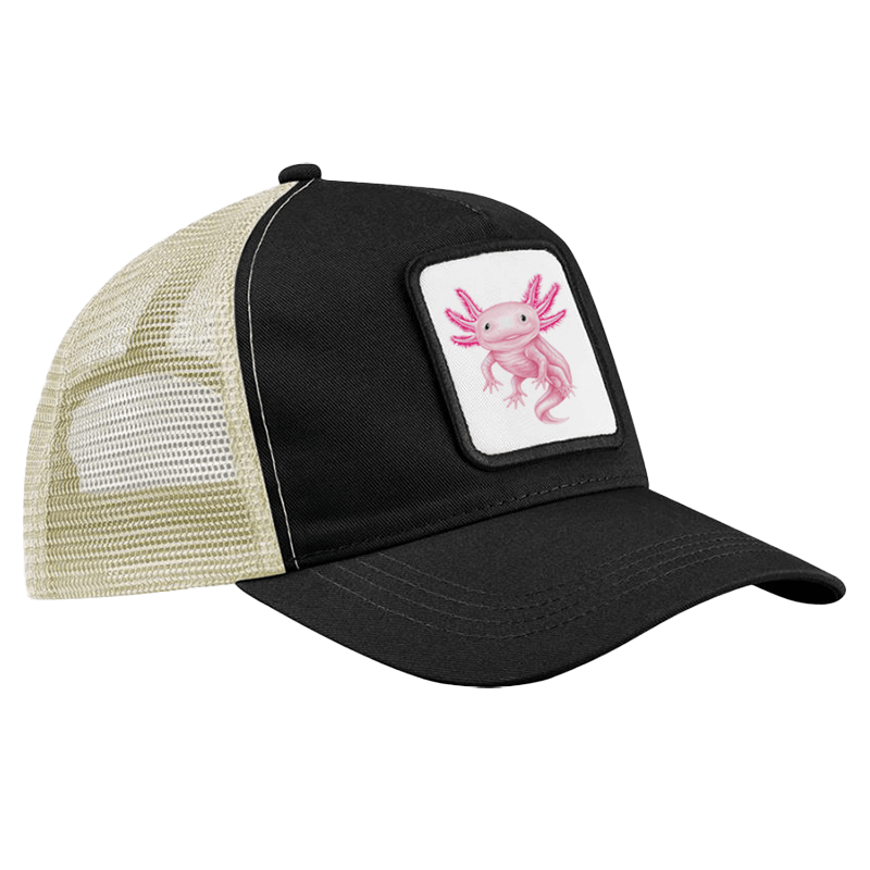 CAP - Axolotl