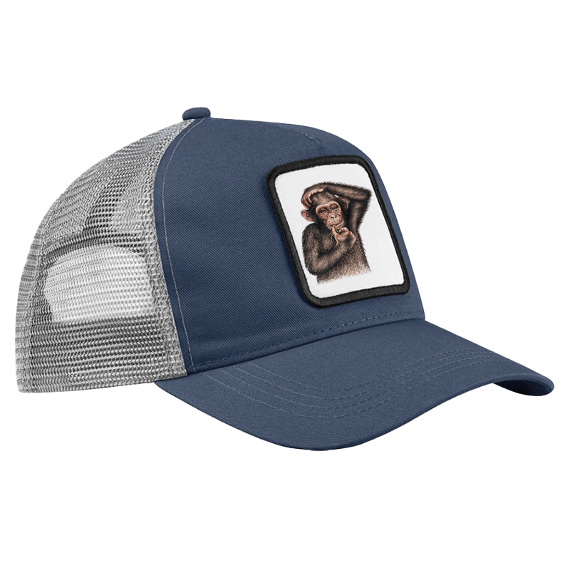 CAP - Affe