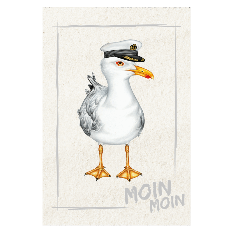 Magnet Kapitän Möwe Moin Moin