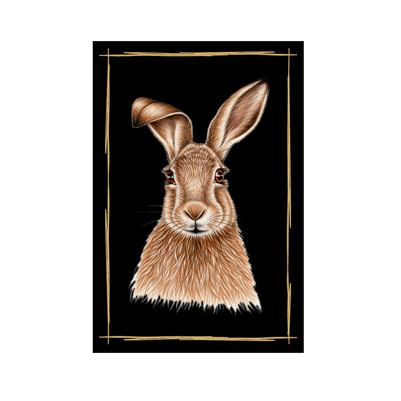 Magnet Hase