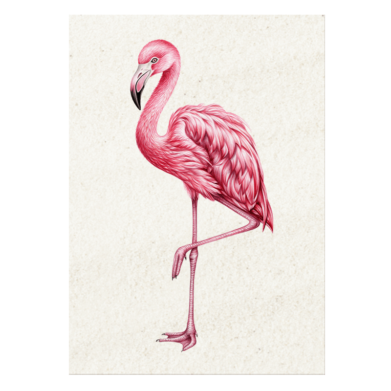 Postkarte Flamingo