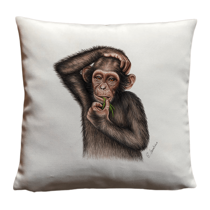 KISSEN - Affe