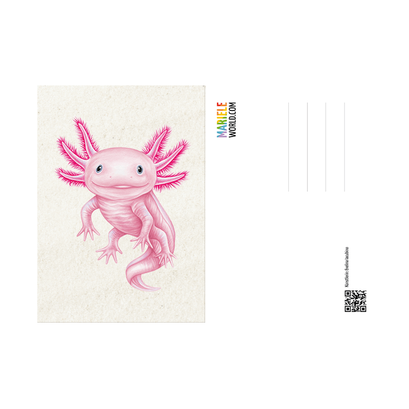 Postkarte Axolotl