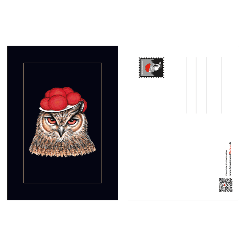 Postkarte Bollenhut Eule