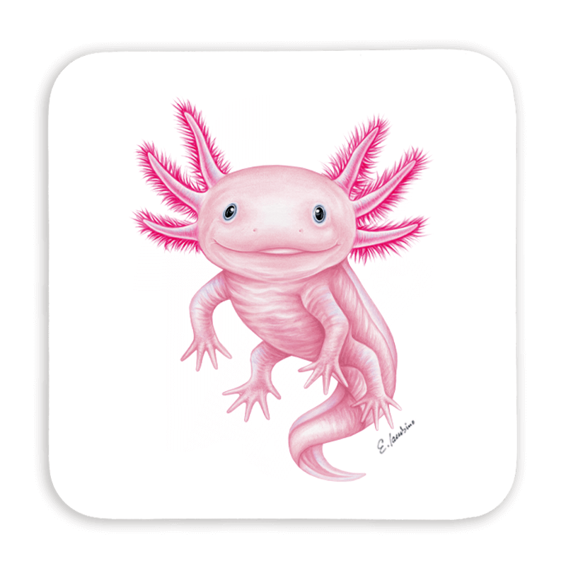 Untersetzer 9x9 - Axolotl